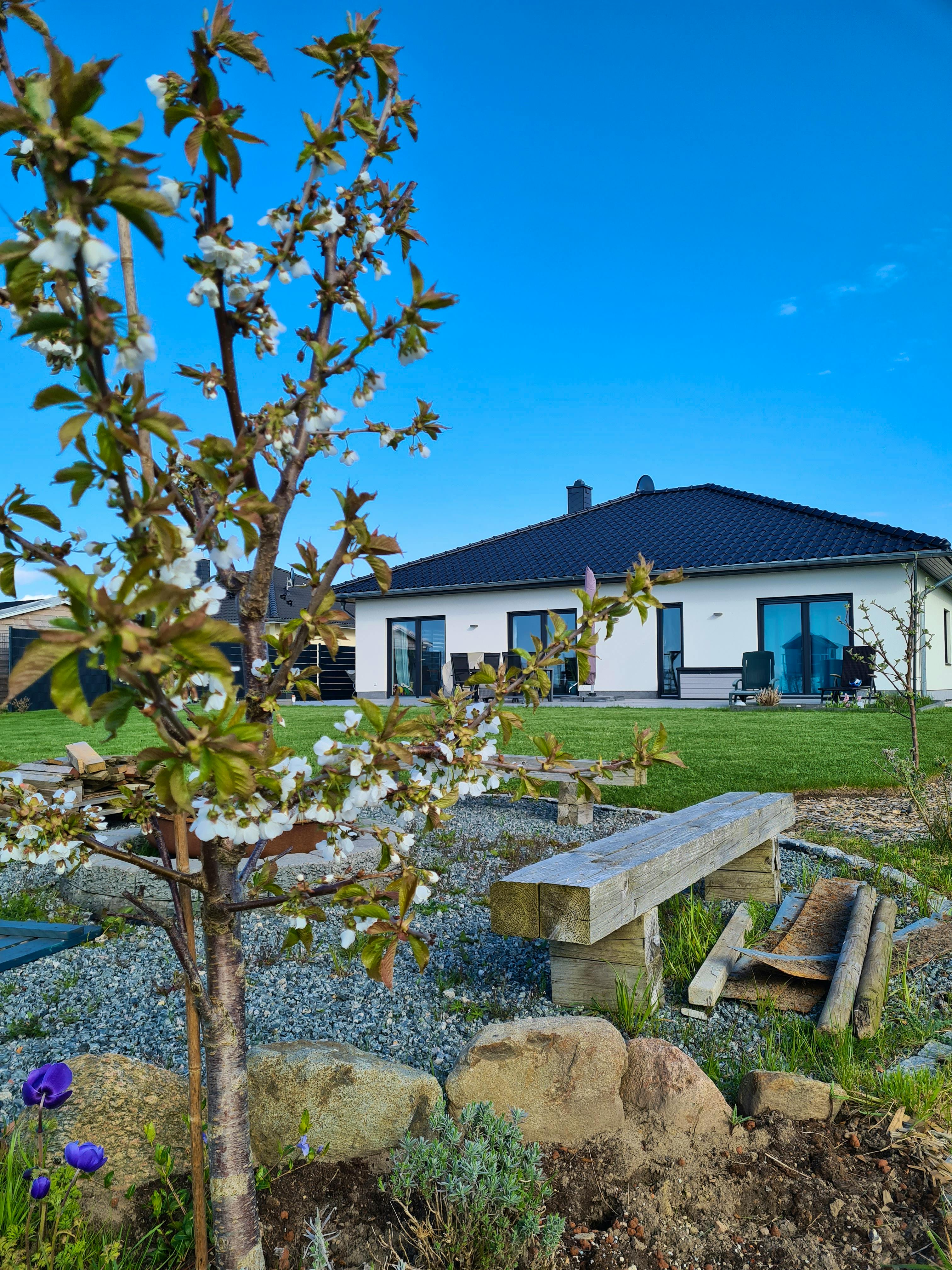 Garten mit blühendem Obstbaum, Sitzbank und Bungalow im Hintergrund