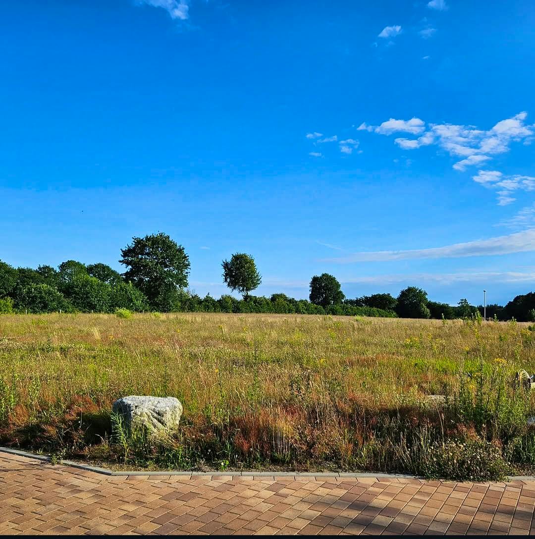 Unbebautes Grundstück im Neubaugebiet in Schleswig-Holstein – freie Fläche mit umliegenden Neubauten im Hintergrund