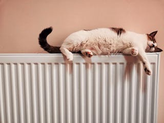 Katze liegt auf Heizkörper