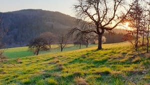 Freistehendes Grundstück im Odenwald bei Sonnenuntergang