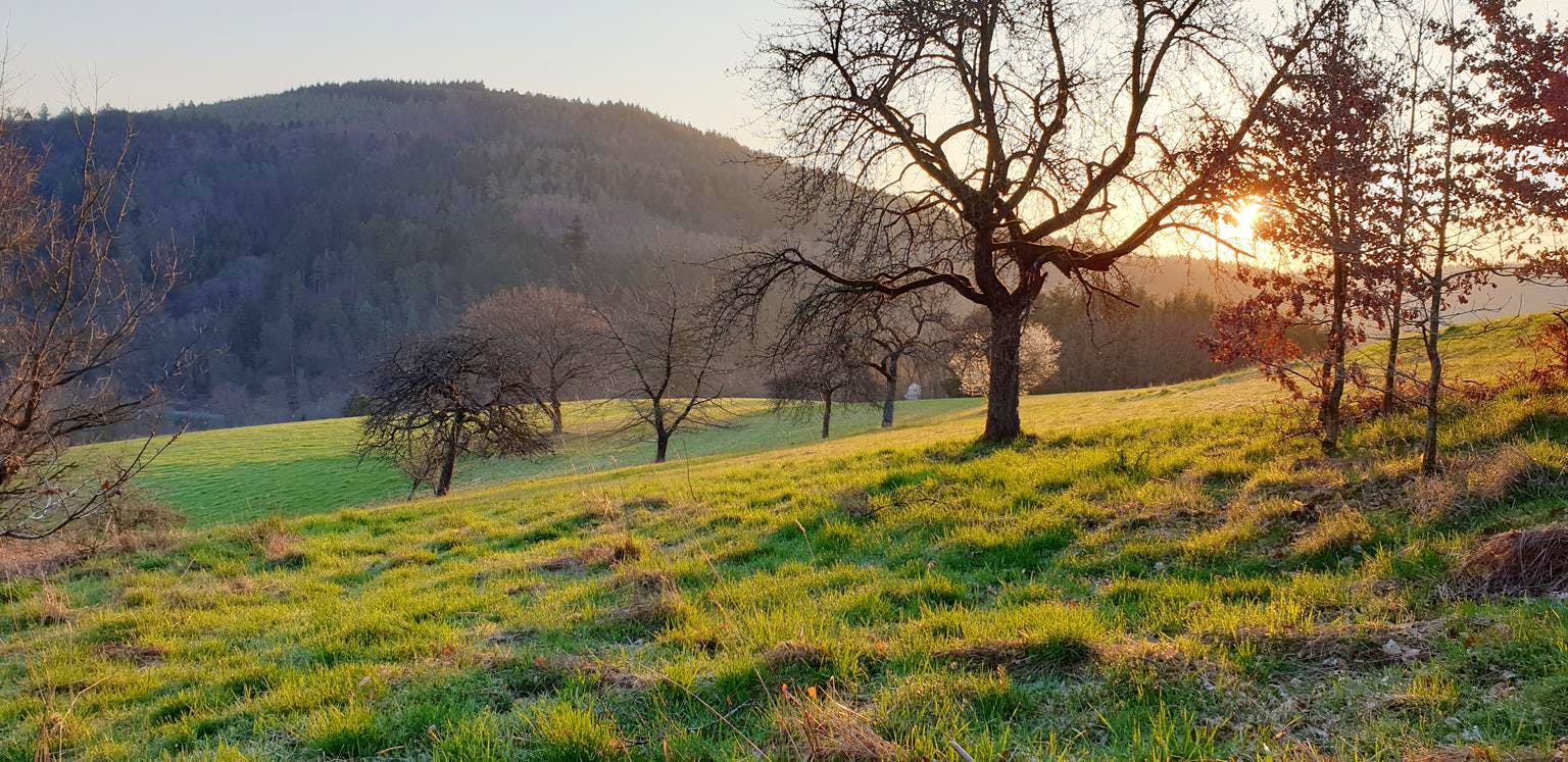 Freistehendes Grundstück im Odenwald bei Sonnenuntergang