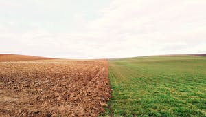 Leeres Feld und Wiese nebeneinander