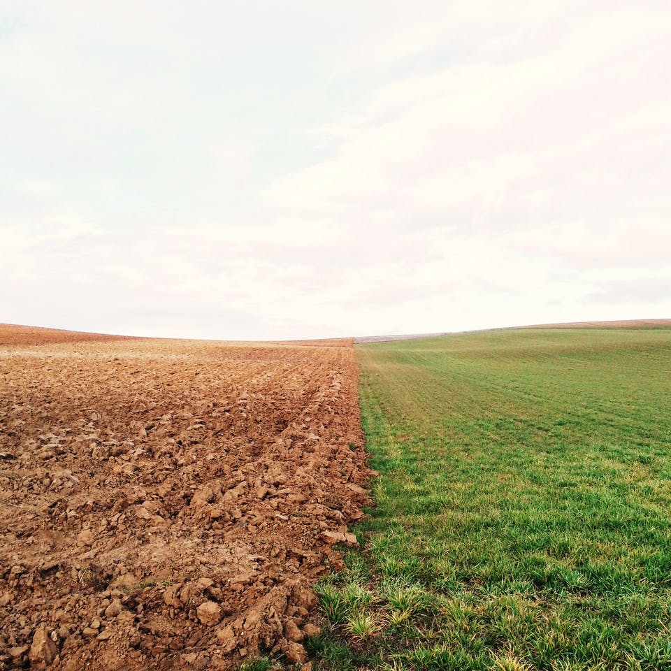 Leeres Feld und Wiese nebeneinander