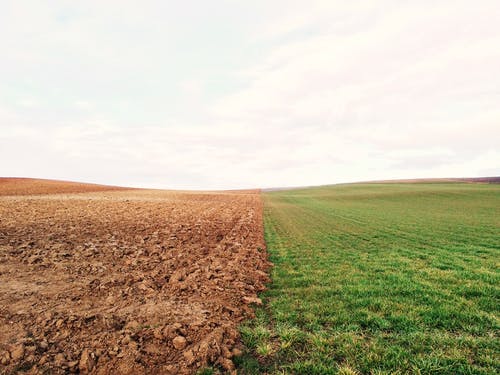 Leeres Feld und Wiese nebeneinander