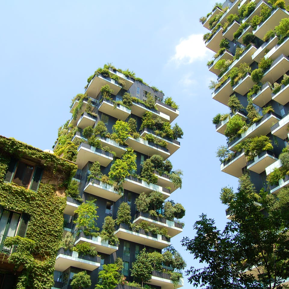 Grüne Mehrfamilienhäuser mit Bäumen und Pflanzen auf allen Balkonen