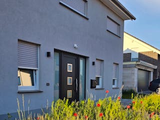 Zweigeschossiges Massivhaus mit hellgrauem Putz, schwarzer Haustür mit goldenen Details, geschlossenen Rollläden und einer Wildblumenwiese im Vordergrund