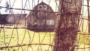 Ein Bauernhaus steht auf weitem Grundstück hinter einem Drahtzaun
