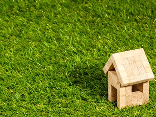 Haus aus Holzklötzen steht auf Rasen