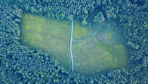 Große Freifläche für Grundstücke im Wald