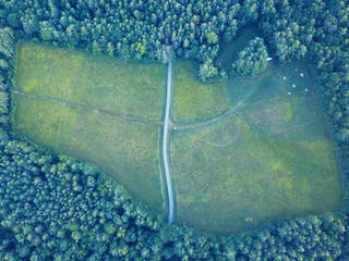Große Freifläche für Grundstücke im Wald