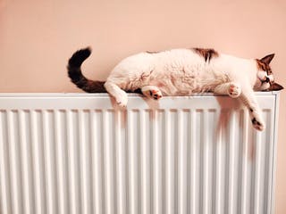 Katze liegt auf Heizung Katze liegt auf Heizung