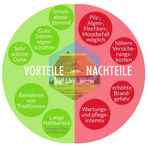 Infografik zu Vor- und Nachteilen von Reetdachhäusern
