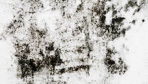 Weiße Wand im Haus mit schwarzen Schimmelspuren