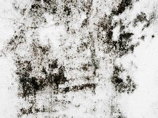 Weiße Wand im Haus mit schwarzen Schimmelspuren