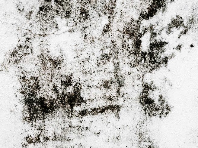 Weiße Wand im Haus mit schwarzen Schimmelspuren
