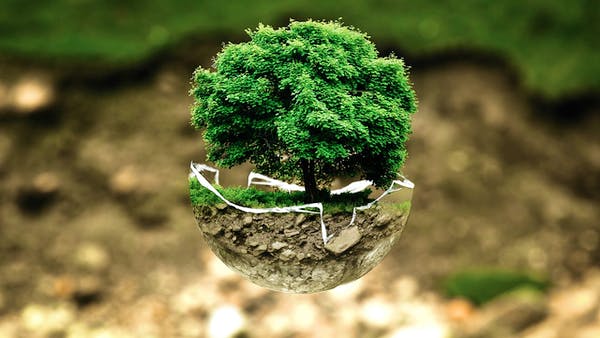 Baum aus Wassertropfen