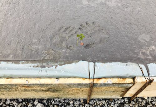 Handabdrücke, Kleeblatt und Centstück im weichen Beton der Bodenplatte beim Haus