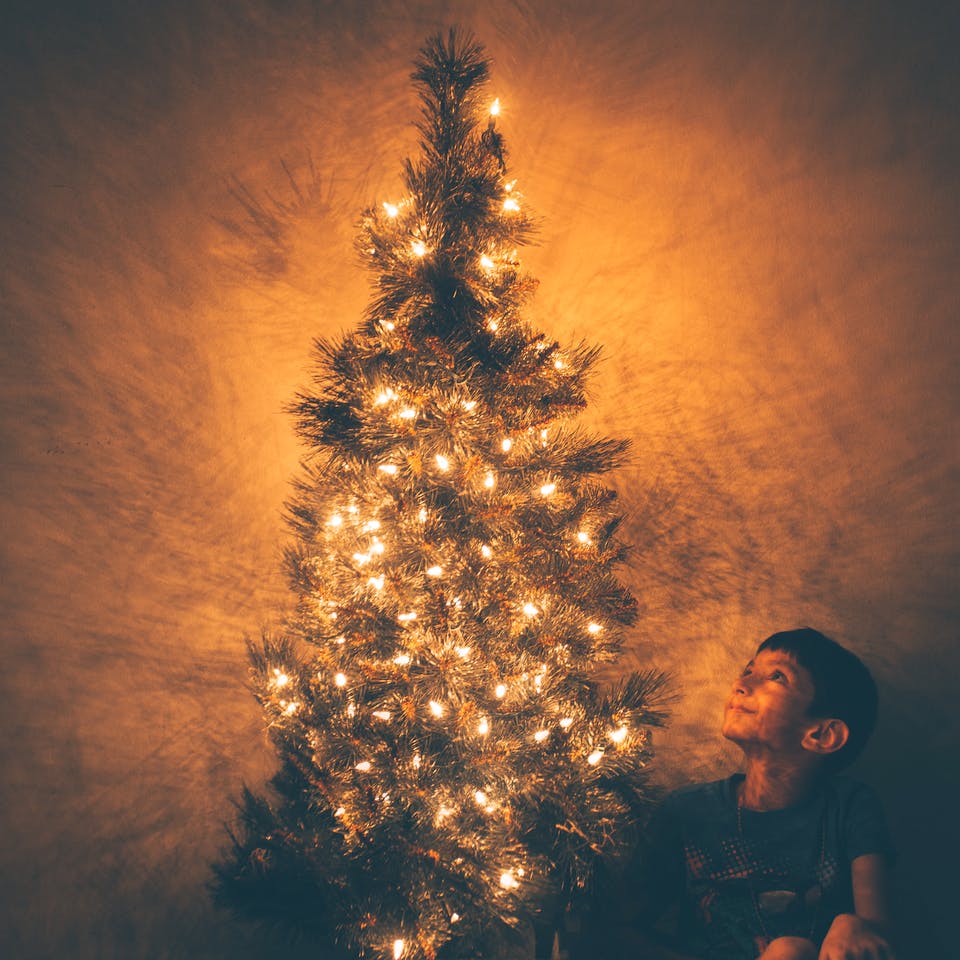 Junge sitzt unter einem Weihnachtsbaum mit Lichterkette
