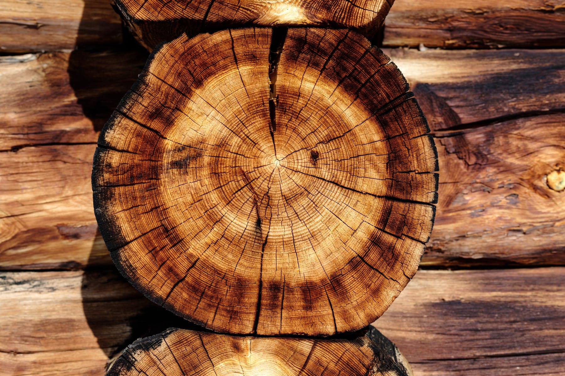 Ein Holzhaus Planen Bauen Hauser Infos Fertighaus De