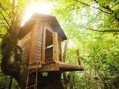 Baumhaus aus Holz in einem dicht bewachsenen , grünen Wald