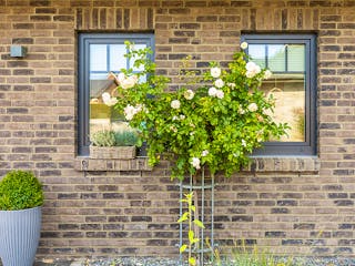 Massivhaus Vario-Haus 130 von ECO System HAUS Schlüsselfertig ab 282700€, Satteldach-Klassiker Außenansicht 4