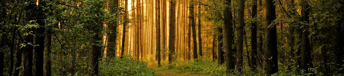 Fertighausanbieter Fricke Holzbau