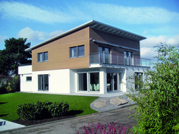 Haustypen Pultdachhaus