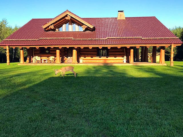 Blockhaus Blockhaus Lavanda von Holzbau rustikal - Blockhäuser Bausatzhaus ab 273288€, Satteldach-Klassiker Außenansicht 2