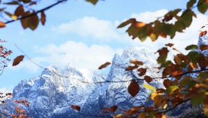 Alpen