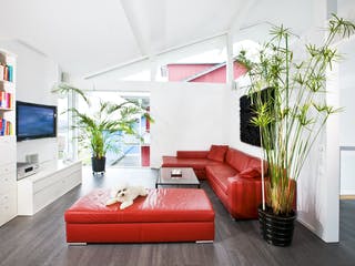 Fertighaus Kundenhaus Hagenbuch von DAVINCI HAUS, Fachwerk Innenansicht 1