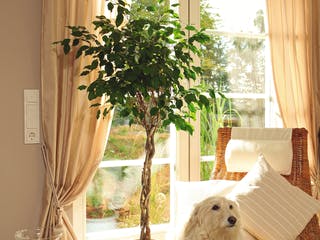 Fertighaus Landlust von FingerHaus, Satteldach-Klassiker Innenansicht 8