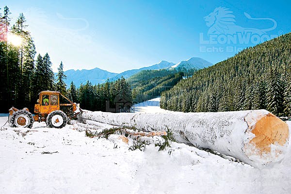 leonwood_teaser11