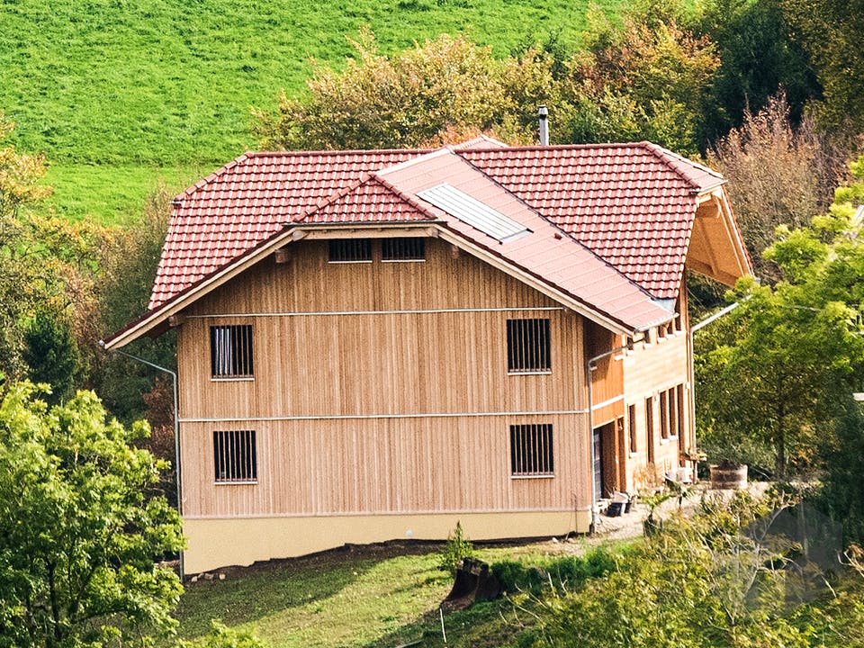B420 Montigel von Frammelsberger HOLZHAUS Außenansicht