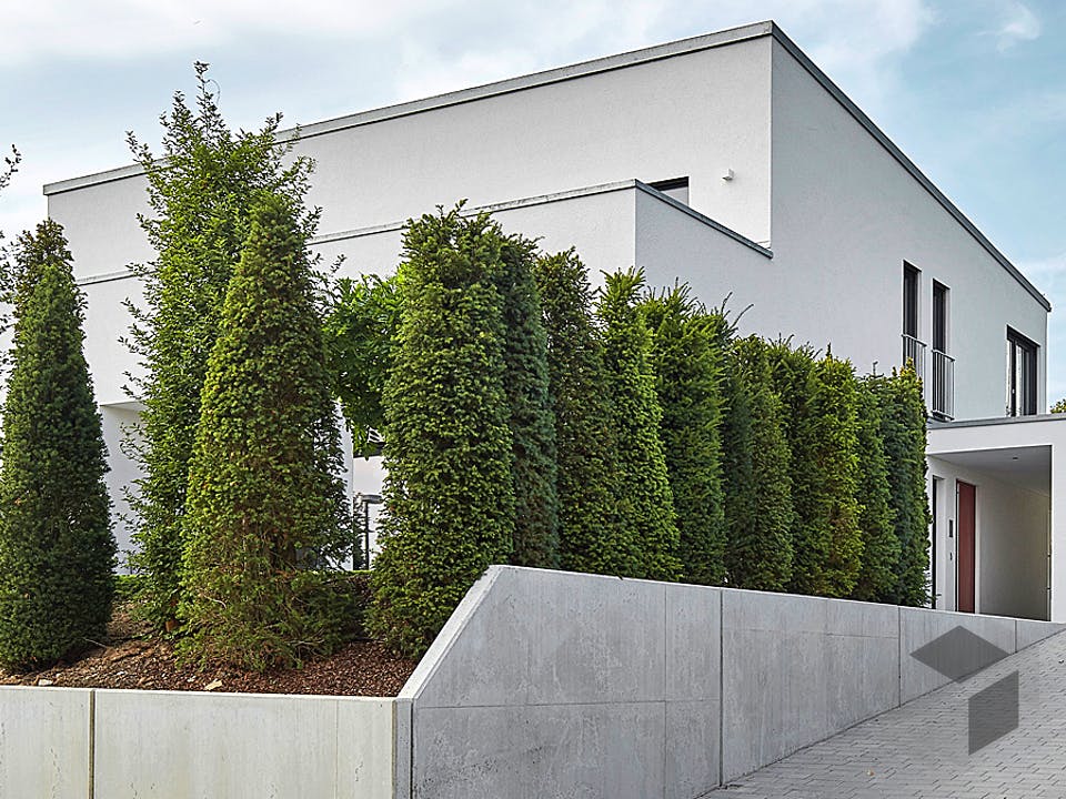 Pultdach Klassik 257 von LUXHAUS Außenansicht