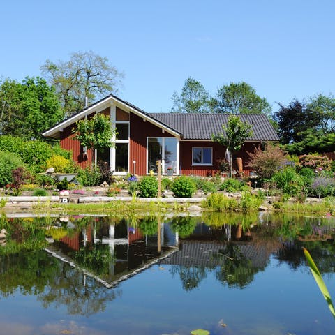 Das sind Gründe für einen Schwimmteich | Fertighaus.de Ratgeber