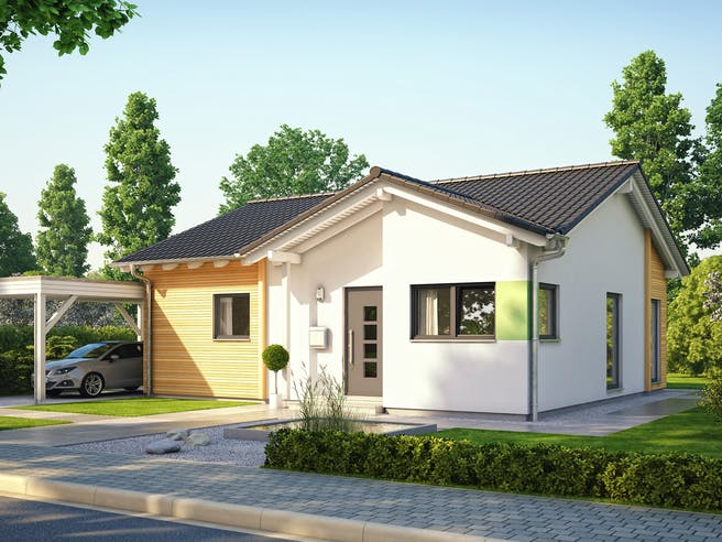 Kosten single haus