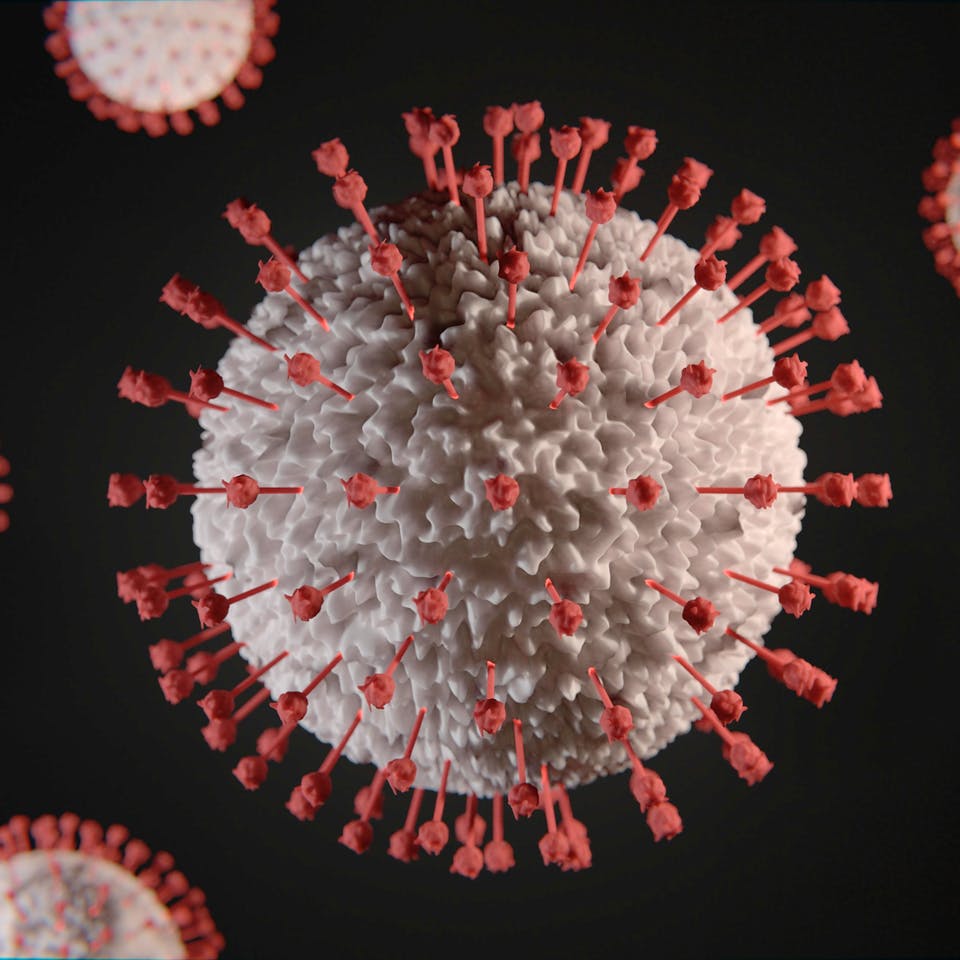 Corona-Viruszellen